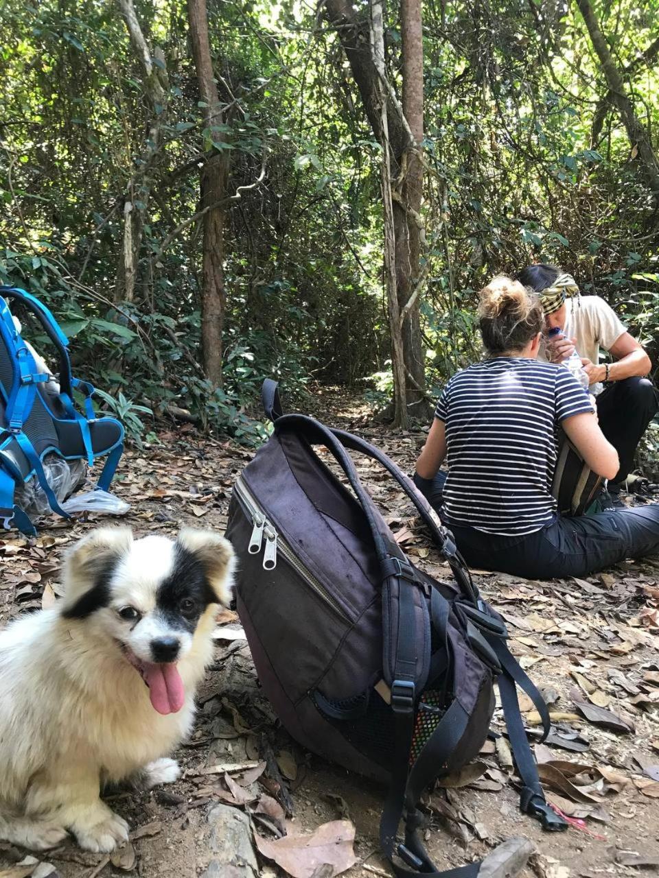 Happy Homestay Banlung & Trekking 外观 照片